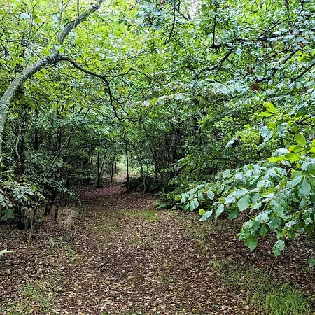 Charming Retreat In * Ringkøbing