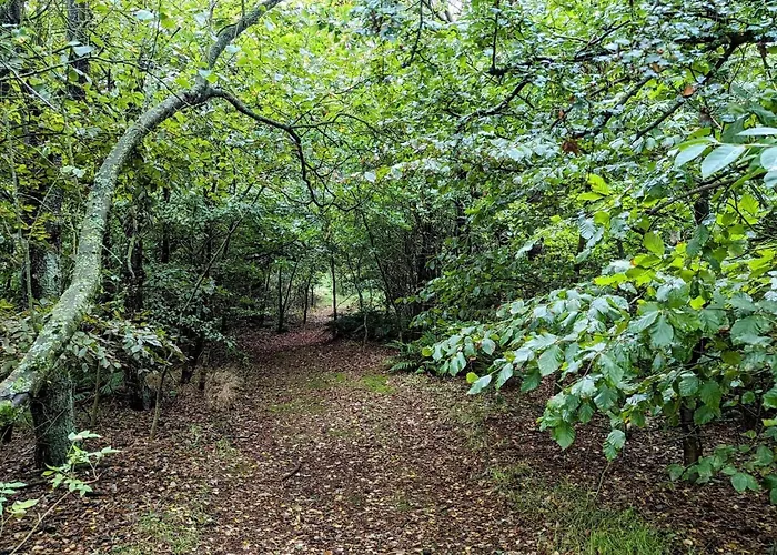 Charming Retreat In * Ringkøbing
